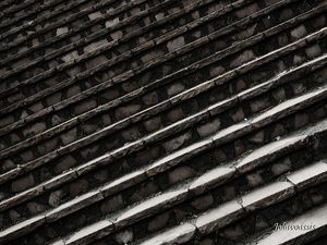 LINHA DIAGONAIS