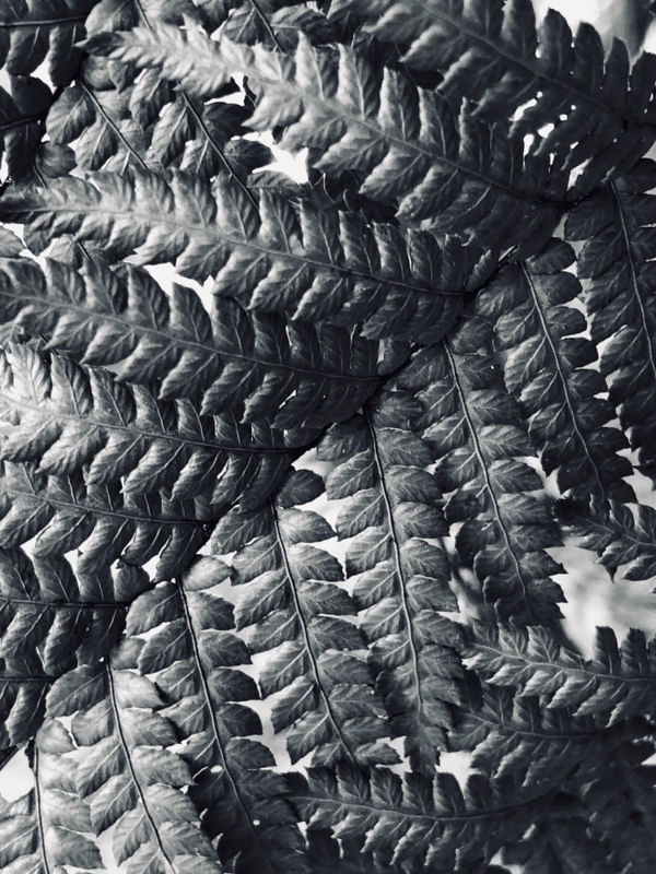 TEXTURA NATURA PB