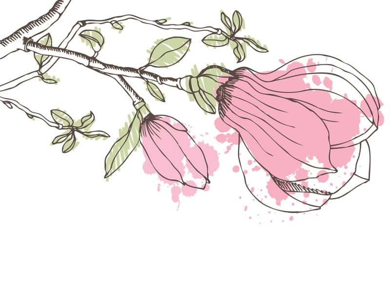BOTÃO DE FLOR AQUARELADO