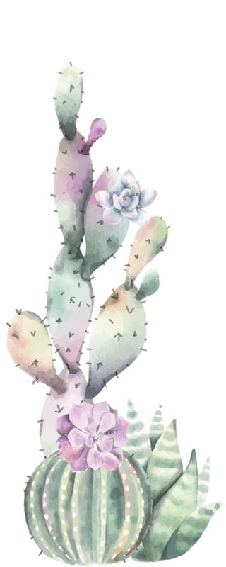 CACTO COM FLORES