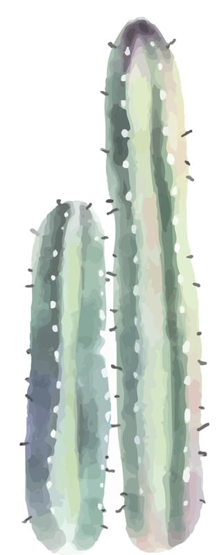 2 CACTOS