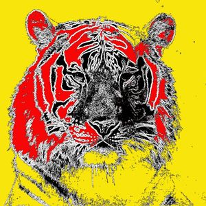 UM TIGRE MAIS POP