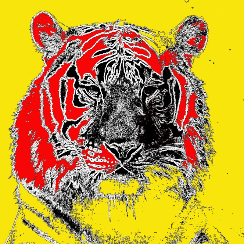 UM TIGRE MAIS POP