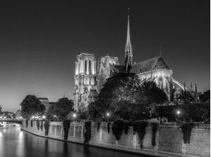 NOTRE DAME DE PARIS