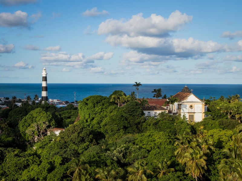 OLINDA E O FAROL