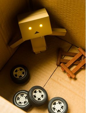 BONECO AMAZON