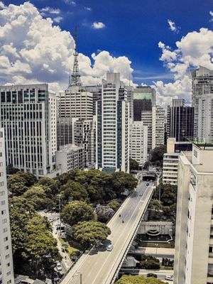 O VERDE AINDA SOBREVIVE EM SAMPA