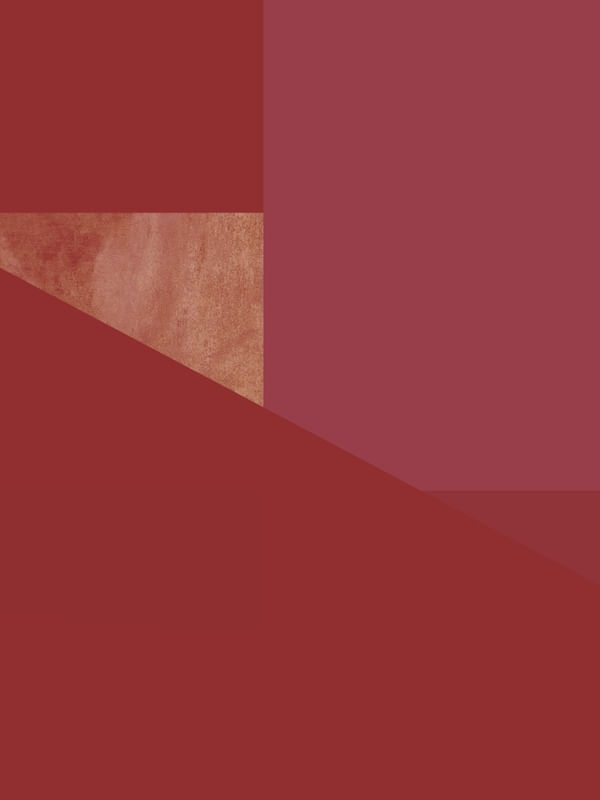 TRIANGULOS 0008