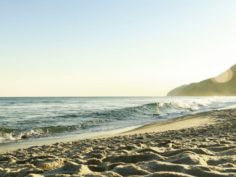 SUNSET BEACH TT