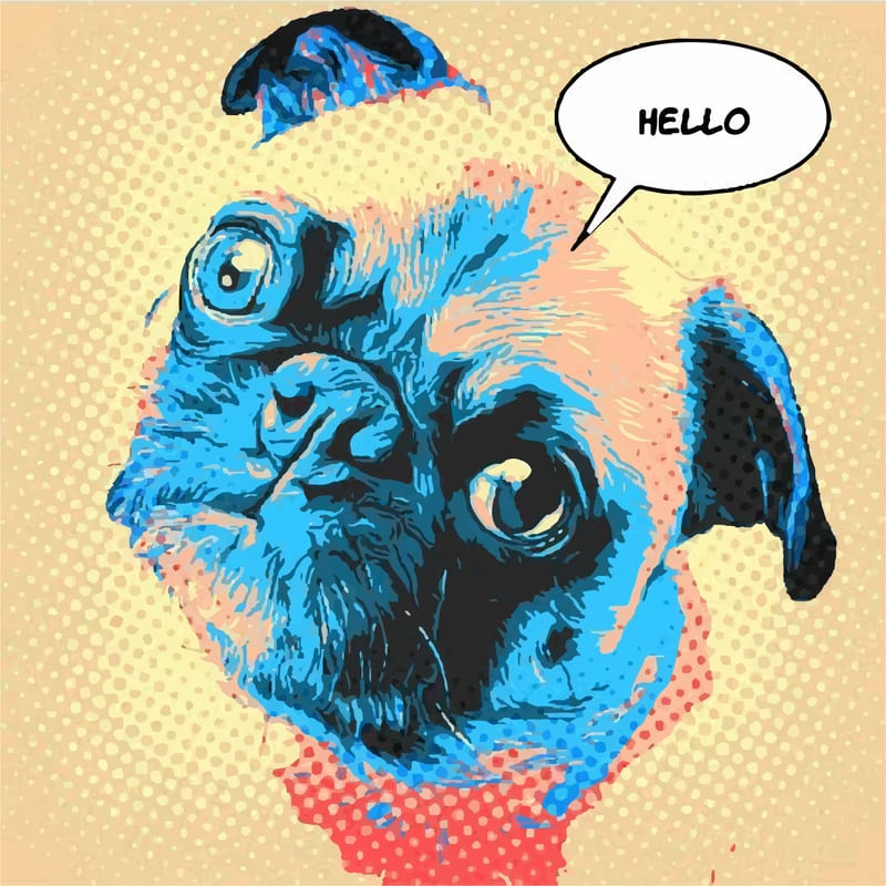 PUG SENDO FELIZ