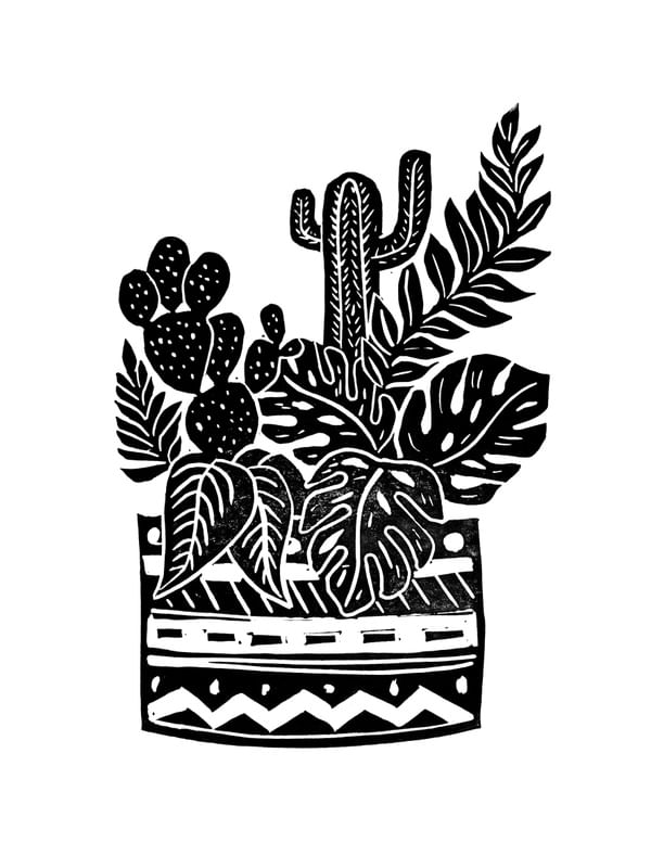 BOTANICAL POT