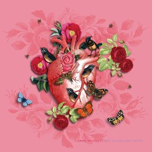 AMOR INCURÁVEL ROSA