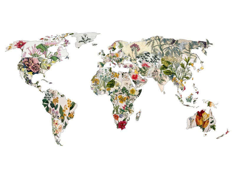 VINTAGE BOTANICAL WORLD - WHITE