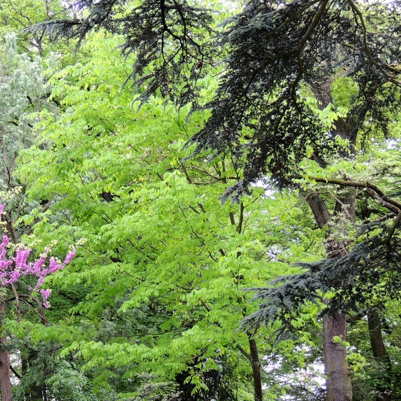 PARQUE FRANCÊS (DÍPTICO 2-2)