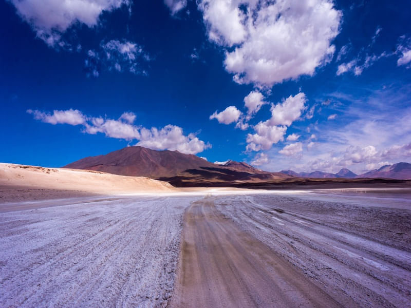 ALTIPLANO BOLIVIA
