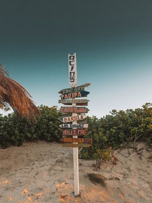 WHERE TO NEXT?