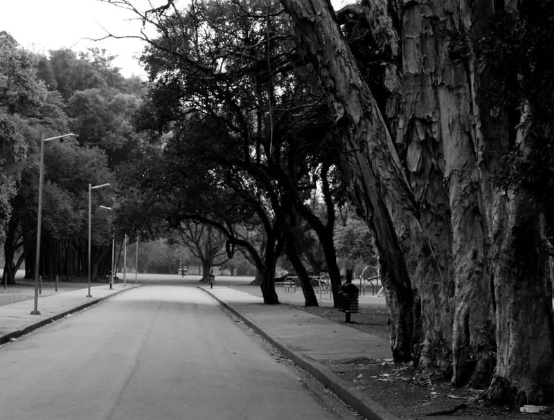 POR ONDE ANDAMOS
