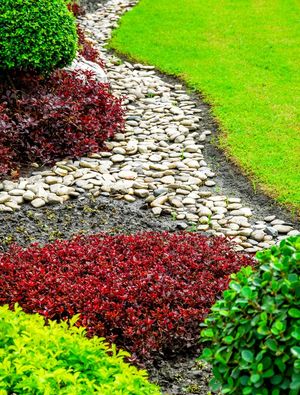 DETALHE DE JARDIM