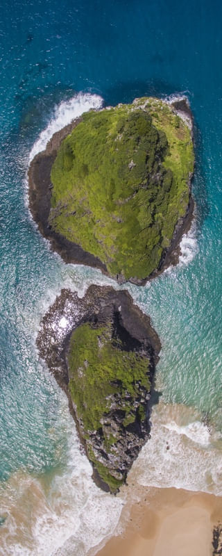 DRONE COLLECTION - MORRO DOIS IRMAOS - FERNANDO DE NORONHA PANORAMICA VERTICAL 2