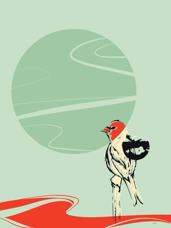 SUNSET GREEN BIRD
