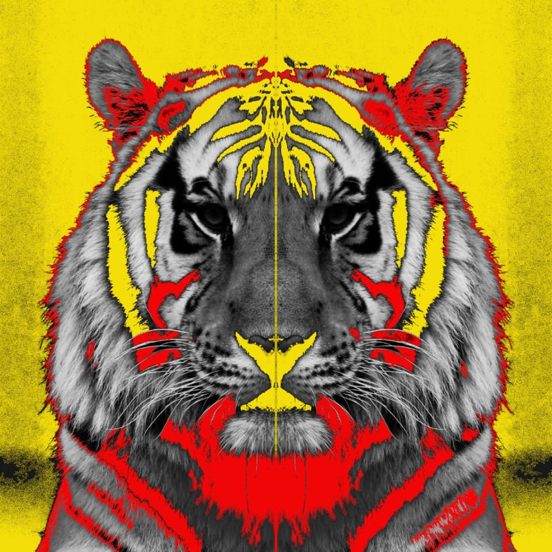 OUTRO TIGRE MAIS POP