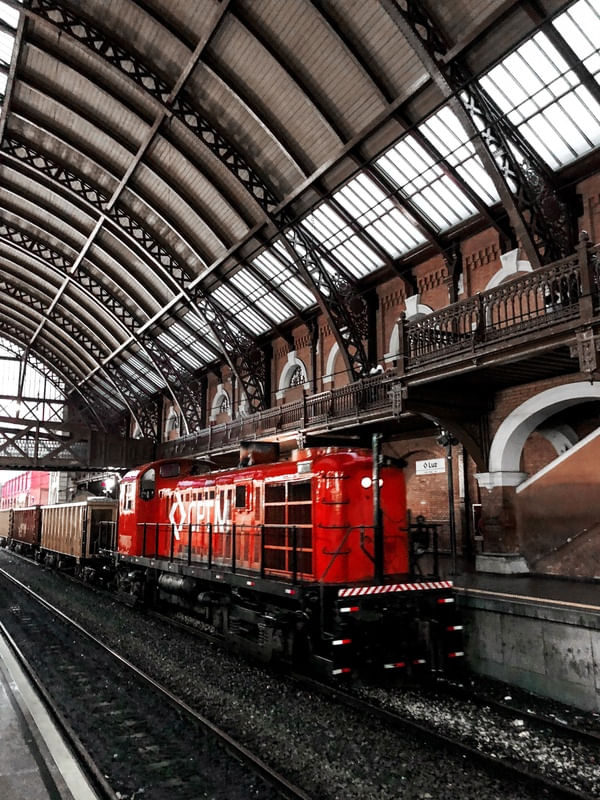 TREM NA ESTAÇÃO DA LUZ