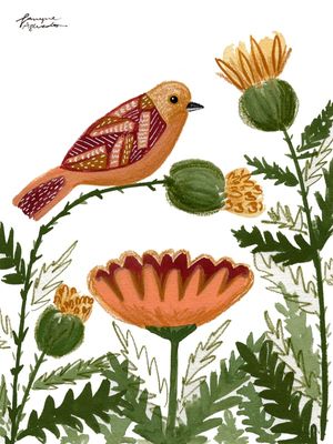 BIRD AND SCOTTISH THISTLE