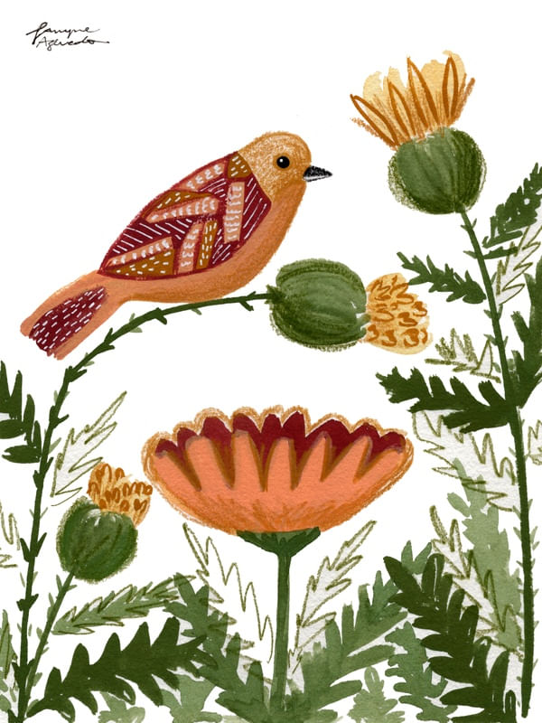 BIRD AND SCOTTISH THISTLE