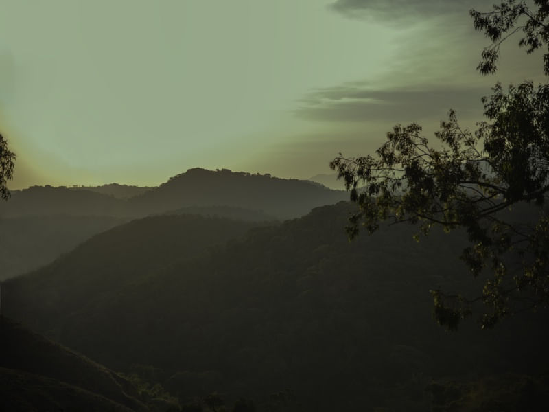 HORIZONTE VASSOURAS