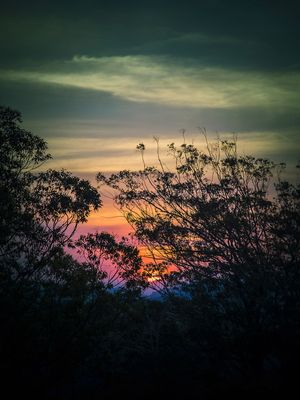 BYE SUN