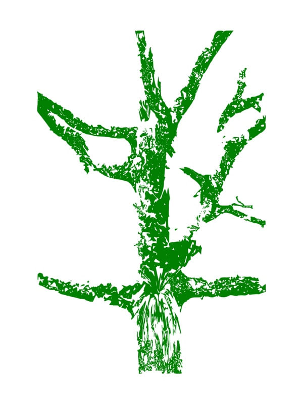 SILHUETA DA ÁRVORE VERDE