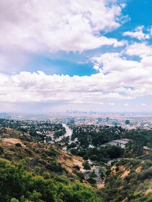 HOLLYWOOD HILLS