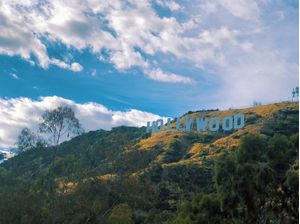 HOLLYWEED