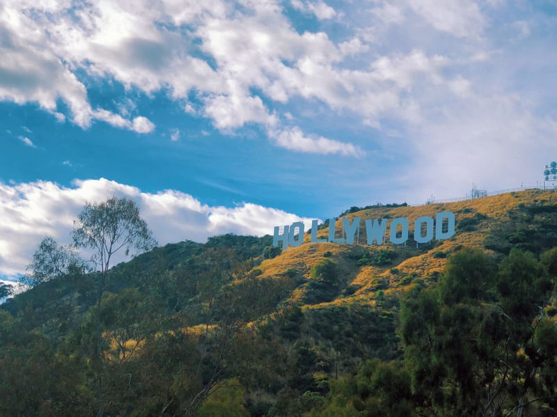 HOLLYWEED