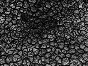 TERRA SECA PRETO E BRANCO
