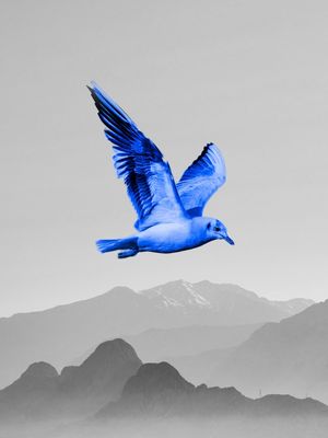 AZUL LIVRE