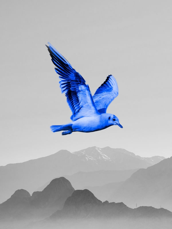 AZUL LIVRE