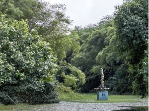 A SEREIA DO LAGO
