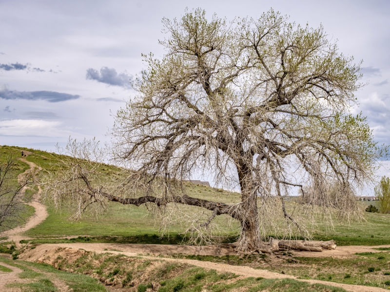 COLORADO HILLS OPEN SPACE, CO