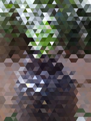 CACTUS MOSAICO