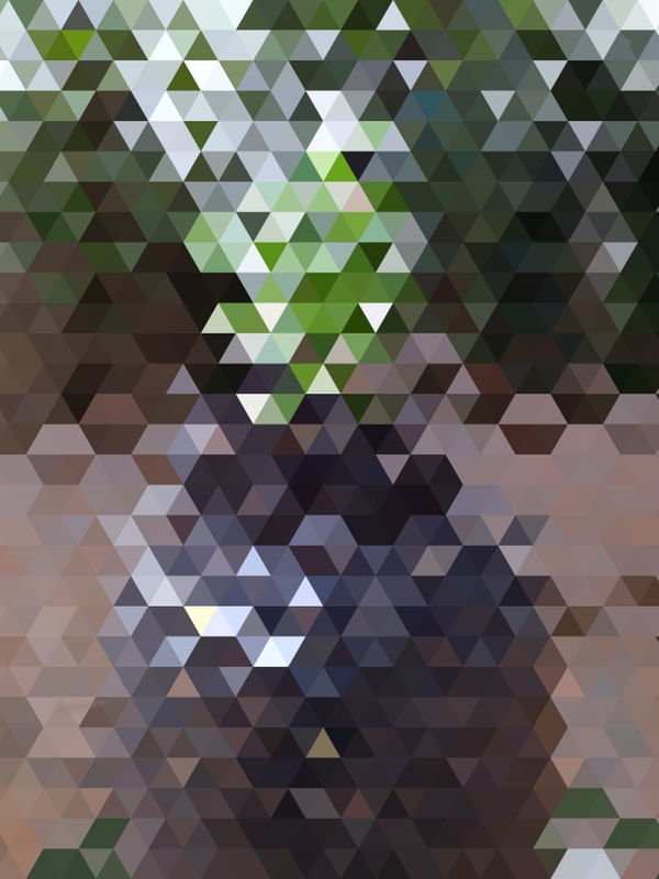 CACTUS MOSAICO