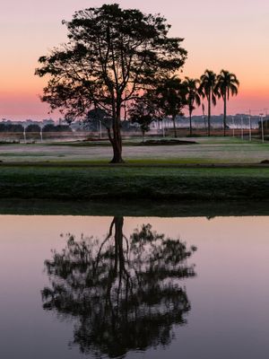 REFLEXO DO AMANHECER