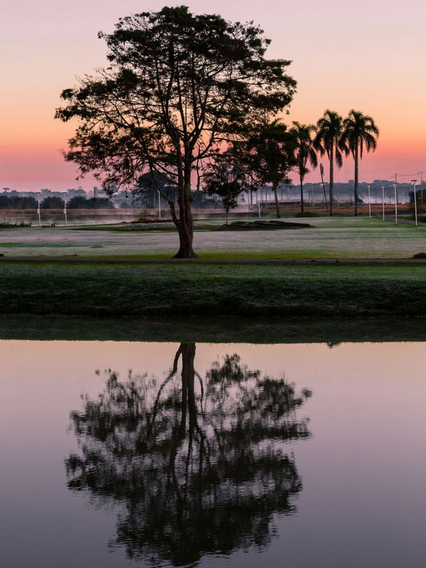 REFLEXO DO AMANHECER