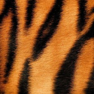 TYGER