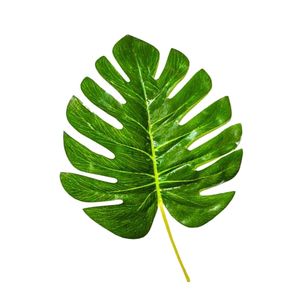 COSTELA DE ADÃO MINIMALISTA