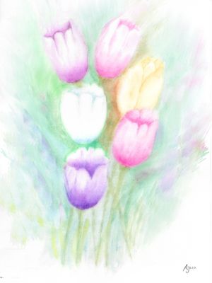 TULIPAS AJR1