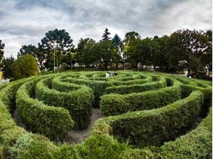 O SEGREDO DO JARDIM