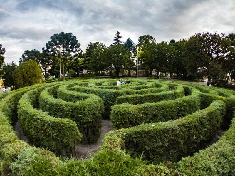 O SEGREDO DO JARDIM
