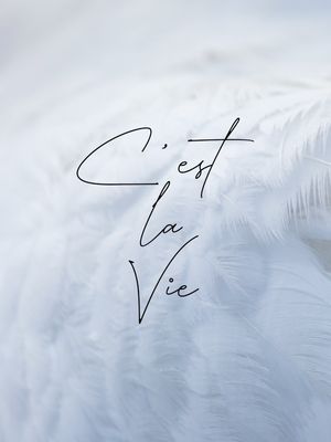 CEST LA VIE