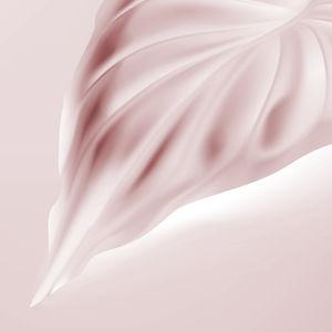 ROSE TROPICAL 3